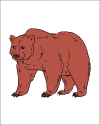 Niedźwiadki kolorowanki z niedźwiedziami do wydruku